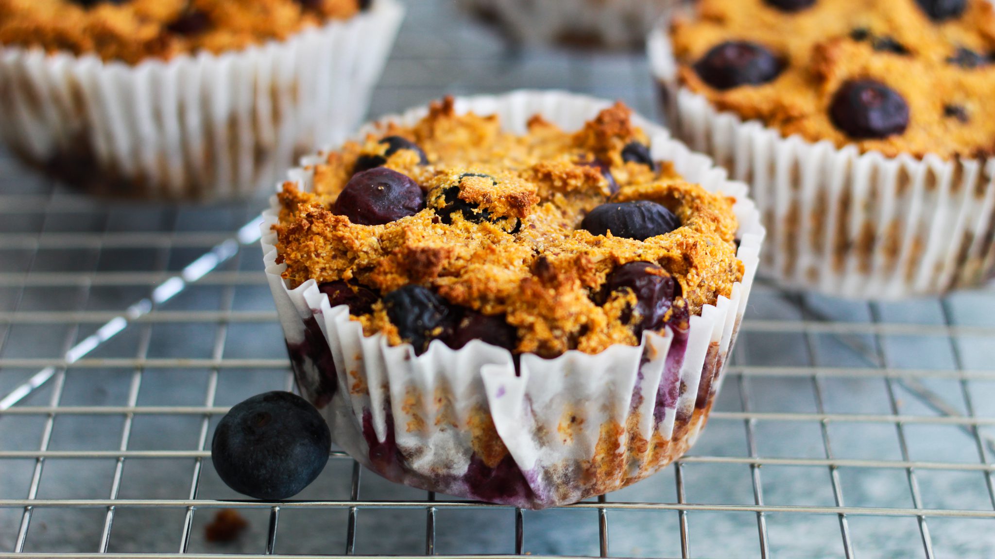Vegan Paleo Blueberry Muffins