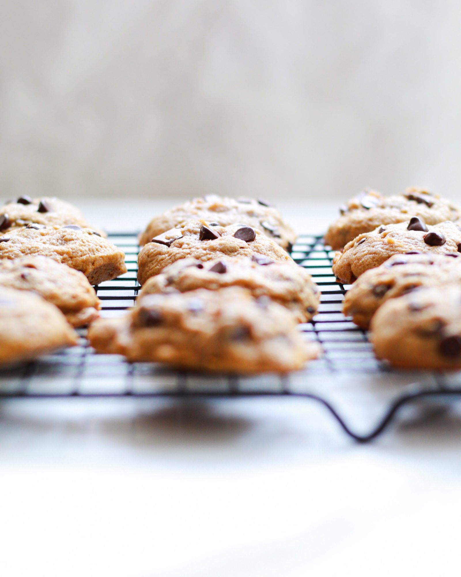 fresh baked vegan chocolate chip cookies on cooling rack