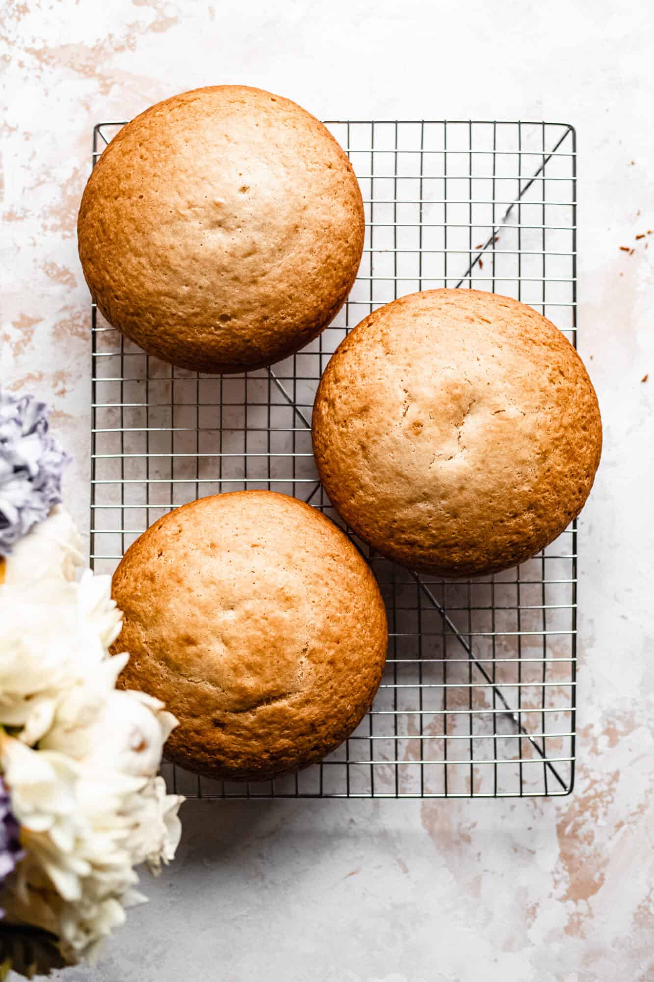 gluten free vegan vanilla cakes on drying rack