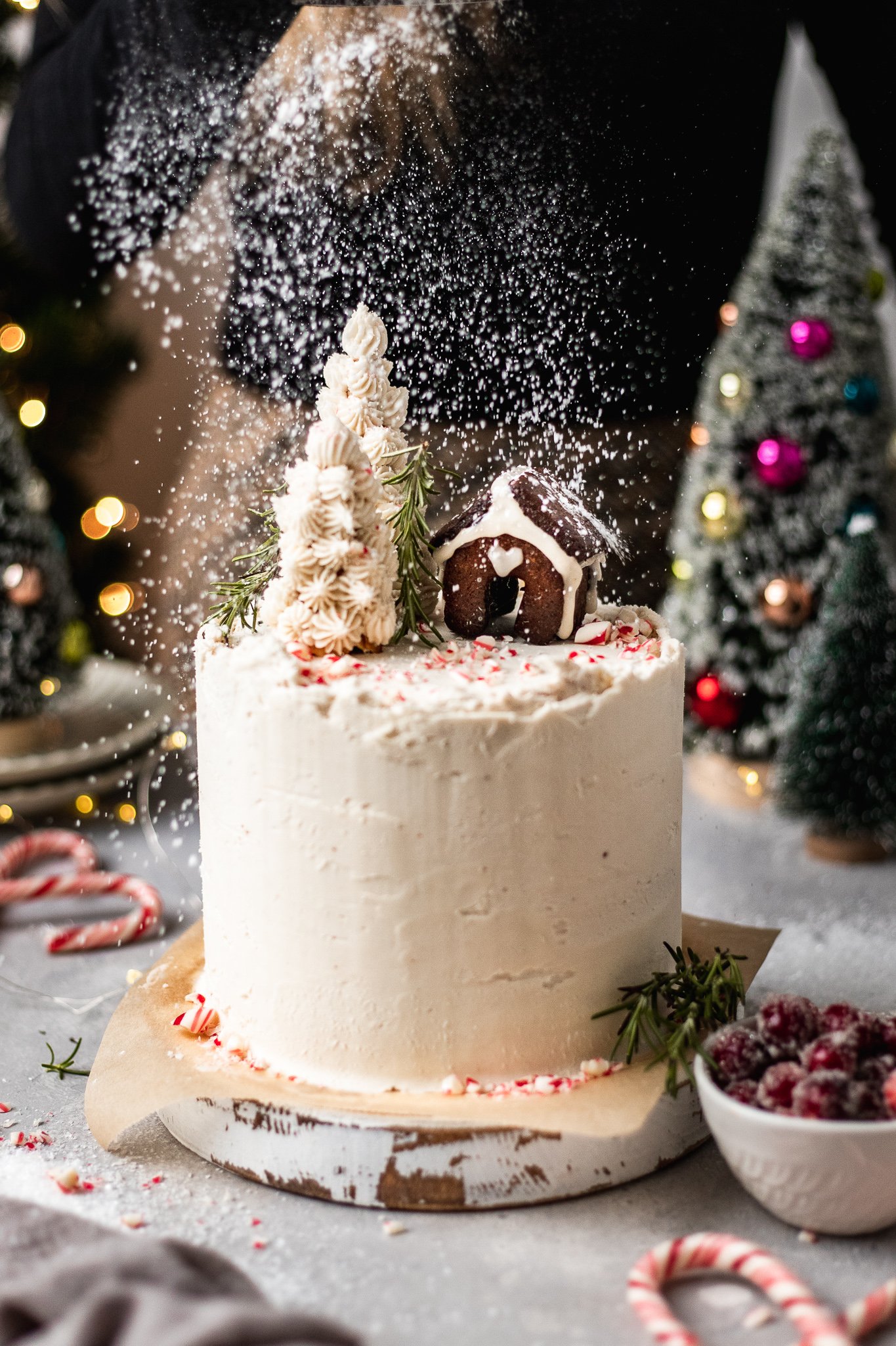 Easy Vegan Chocolate Peppermint Cake (Gluten Free) The Banana Diaries