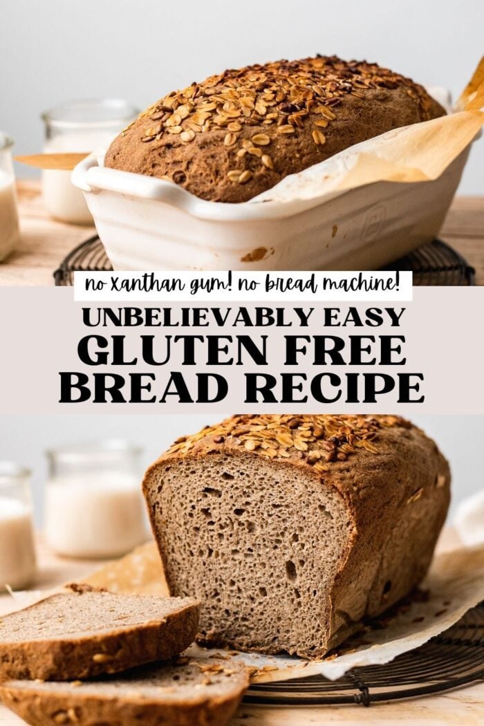 Easy Homemade Gluten Free Bread Machine Bread (Dairy Free!)