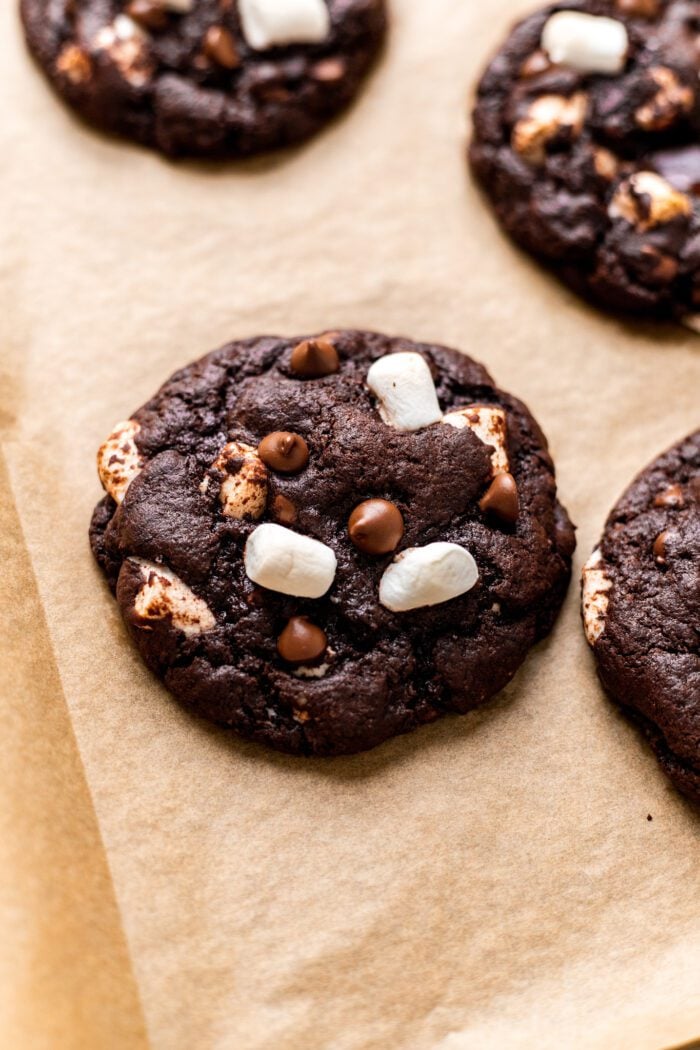 Rich & Fudgy Hot Cocoa Cookies (No Eggs!) The Banana Diaries