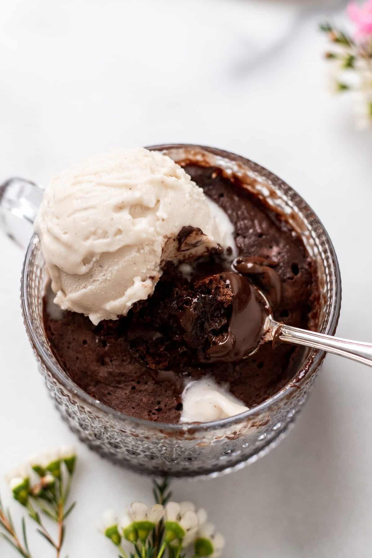 Molten & Fudgy Nutella Mug Cake (Dairy Free + Vegan!) | The Banana Diaries