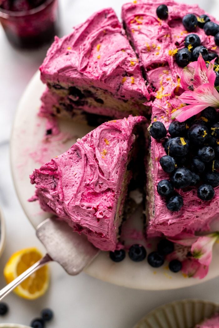 https://thebananadiaries.com/wp-content/uploads/2023/03/vegan-lemon-blueberry-cake_9673-700x1050.jpg