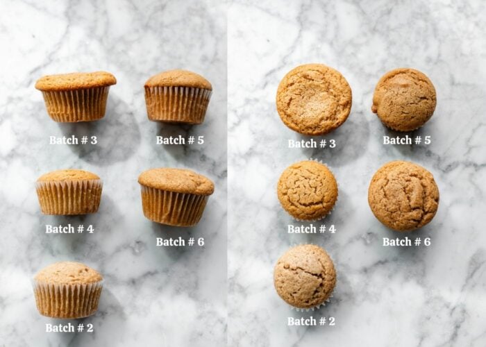 apple cider cupcake test batches