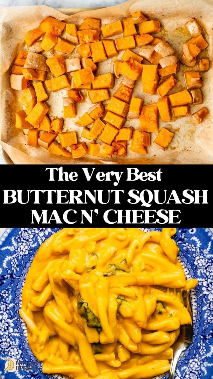 Simple Roasted Butternut Squash Mac and Cheese Recipe - Dairy Free pinterest pin