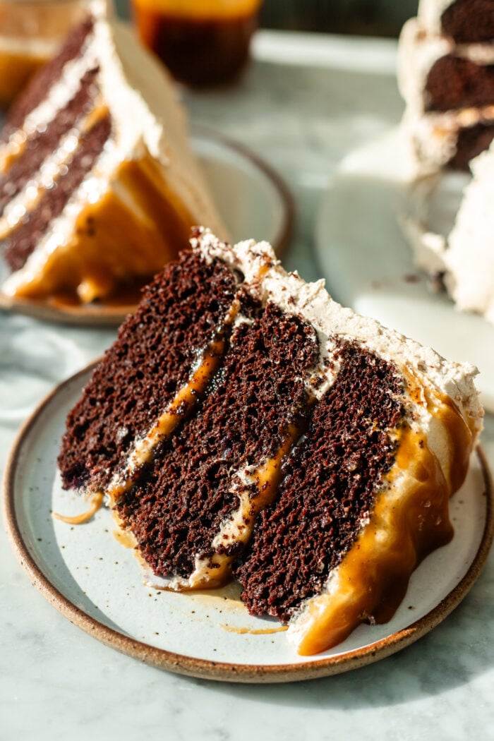 slice of vegan chocolate caramel cake