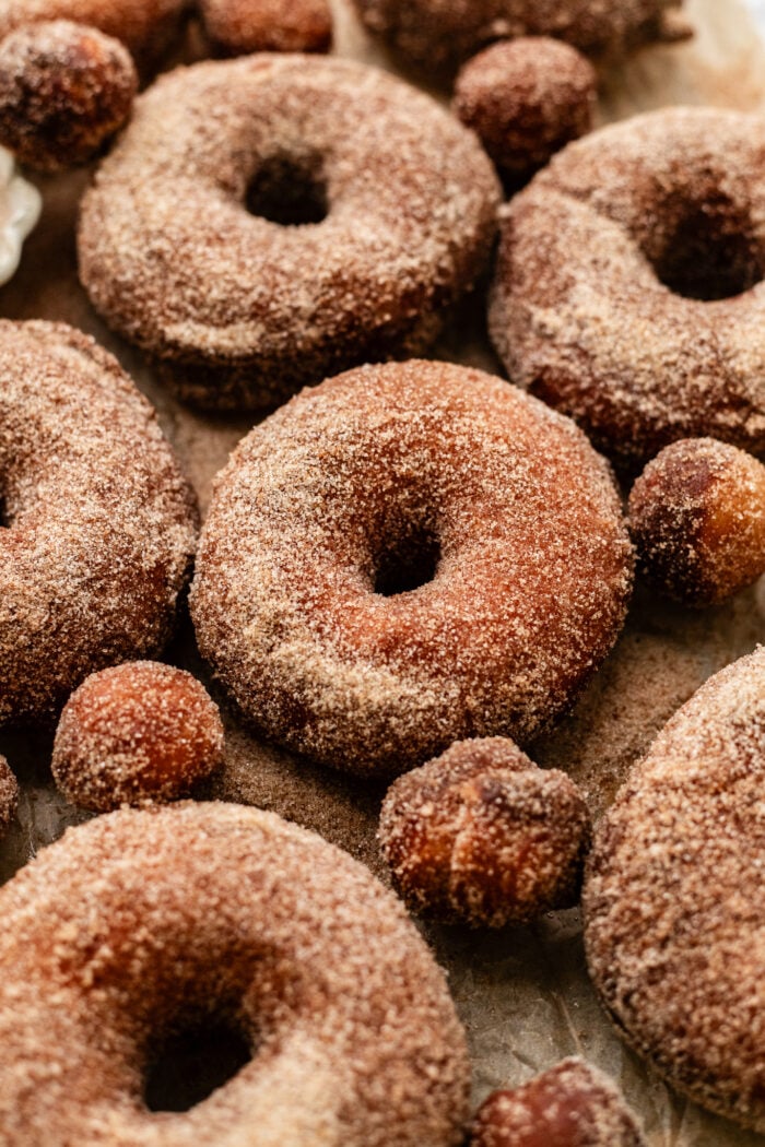 yeasted cinnamon sugar doughnuts