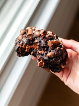 bitten double chocolate chip cookie