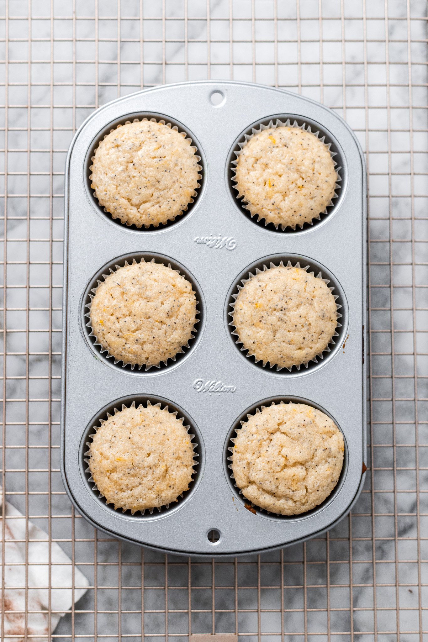 Small Batch Vegan Lemon Poppy Seed Cupcakes with Lemon Curd | The