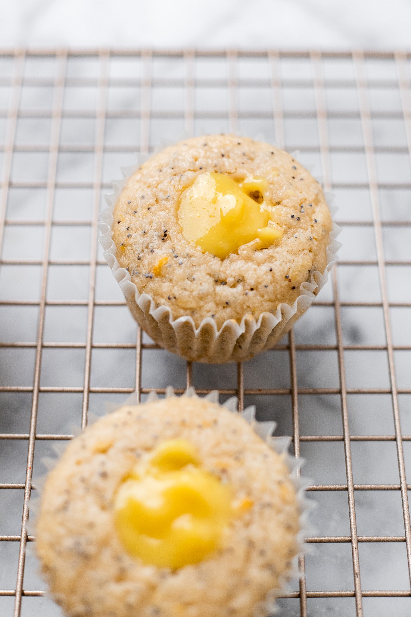 Small Batch Vegan Lemon Poppy Seed Cupcakes with Lemon Curd | The